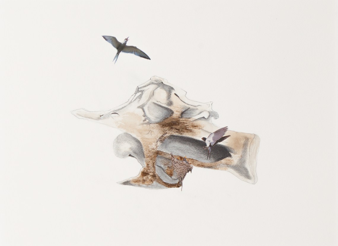 DRAWING BREATH XXXVIII