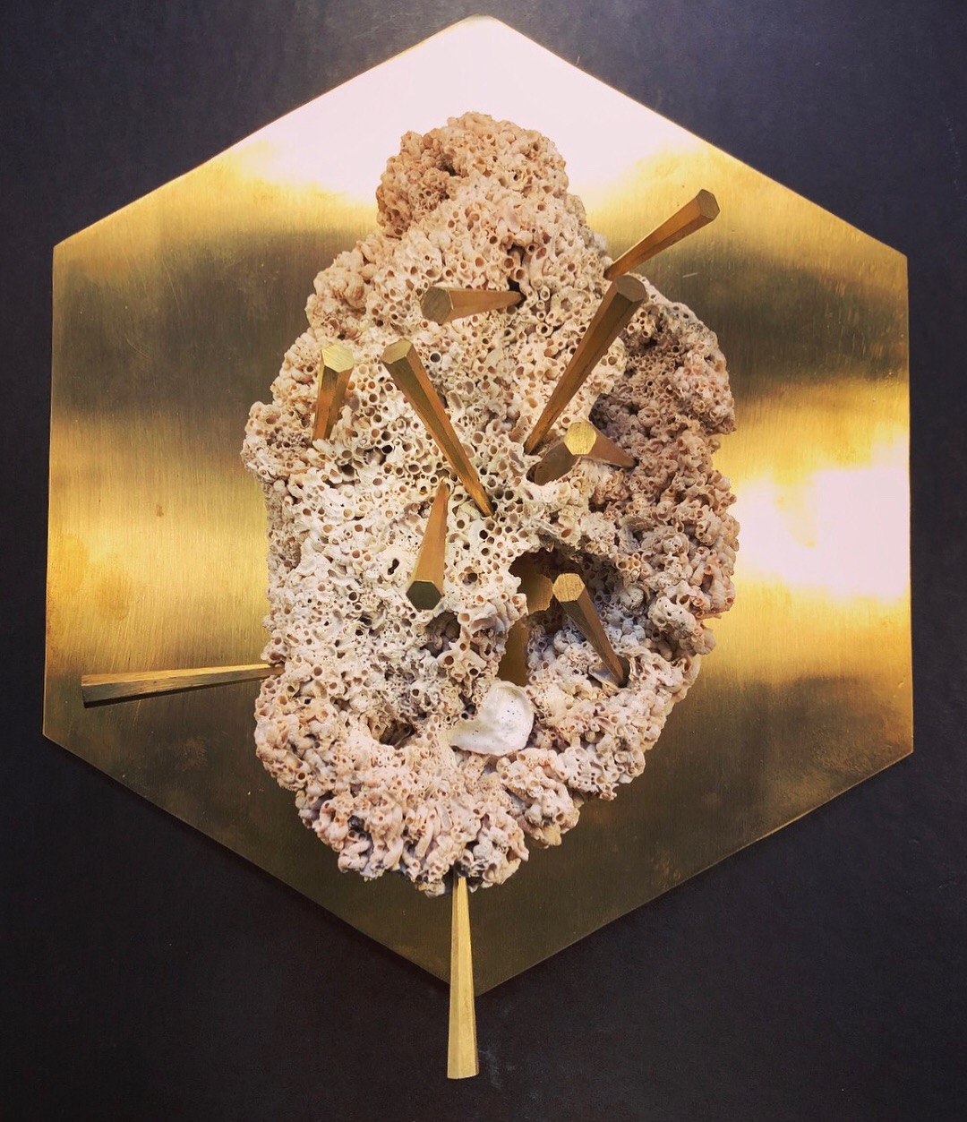 CIRCADIAN RHYTHMS II det