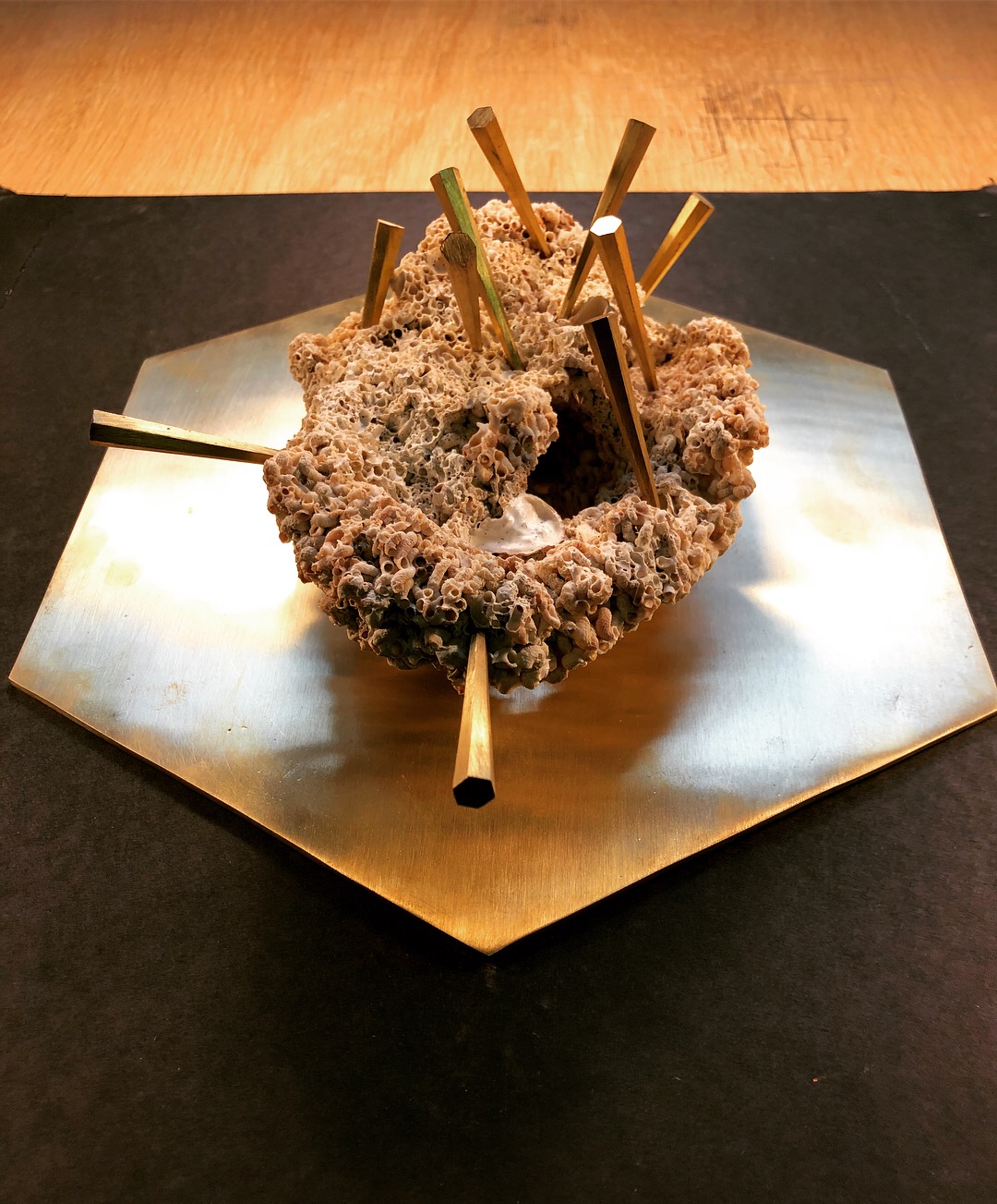 CIRCADIAN RHYTHMS II