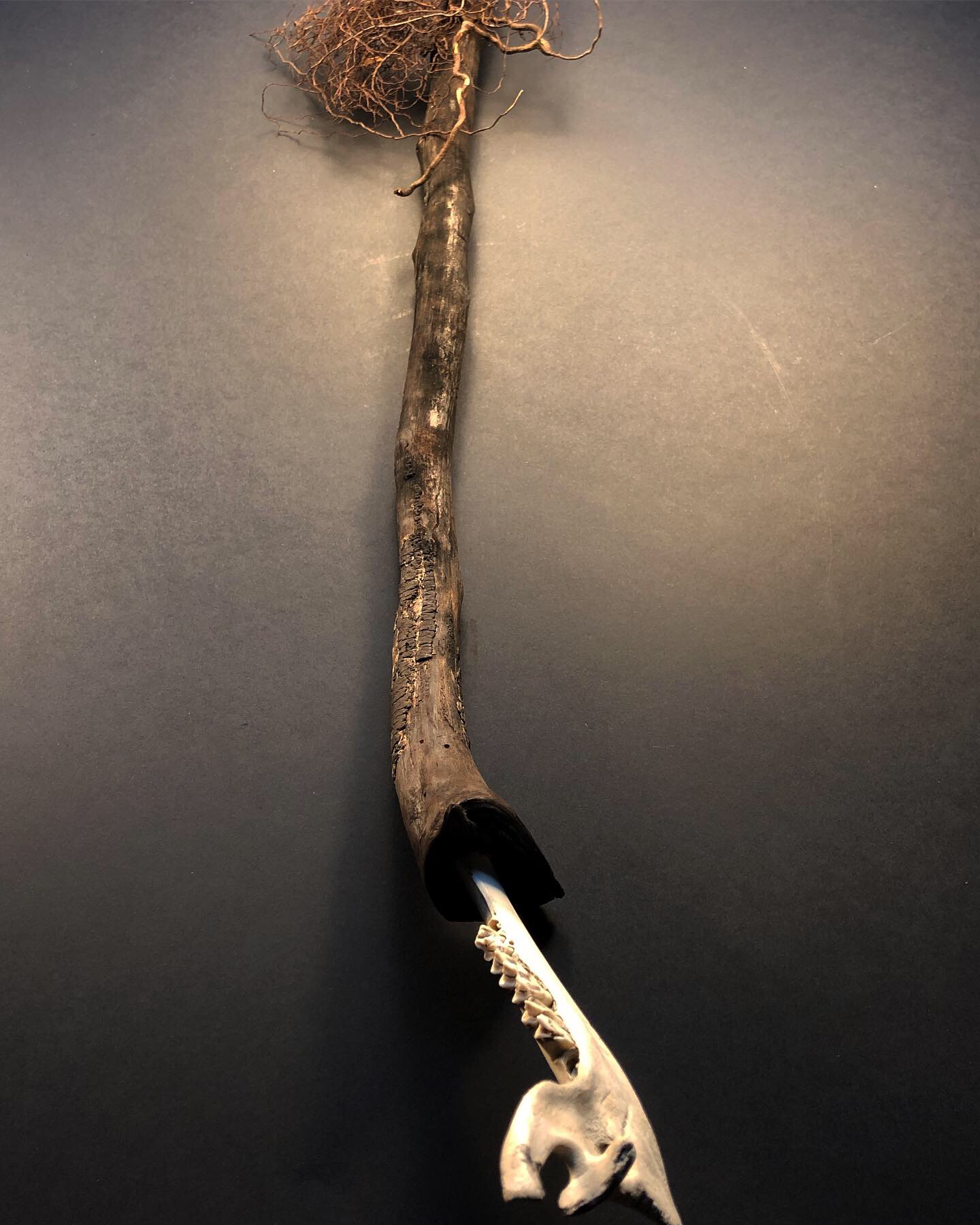 0B873321-7874-462A-9883-0355AF8B76DA