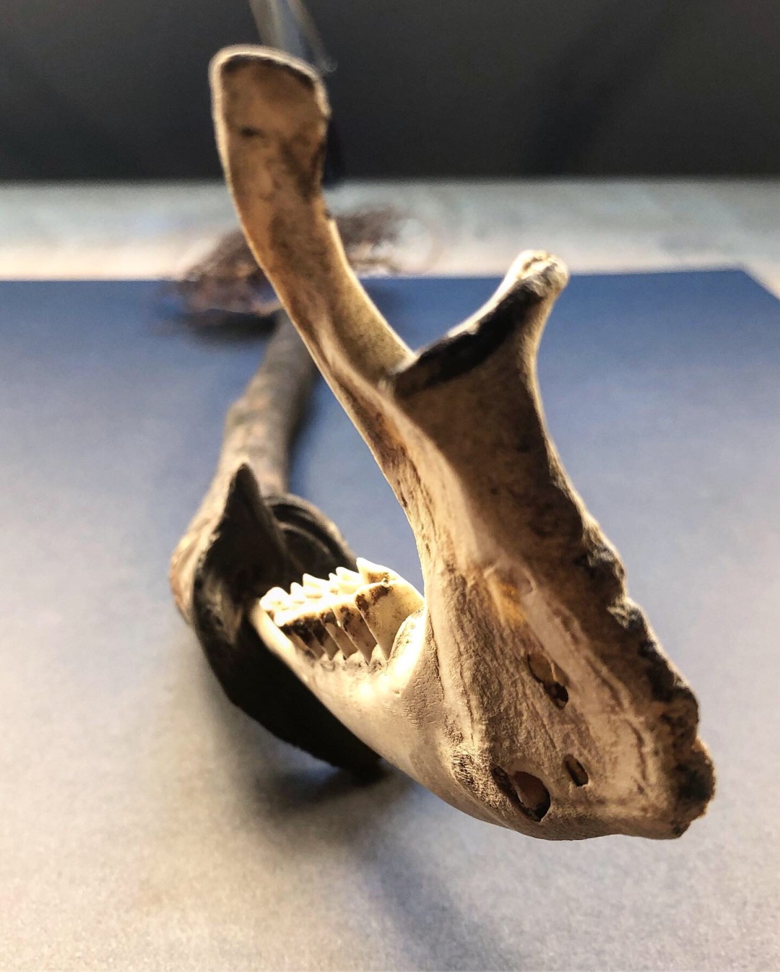 ABD28C89-4468-4274-9515-F638E39A61E1