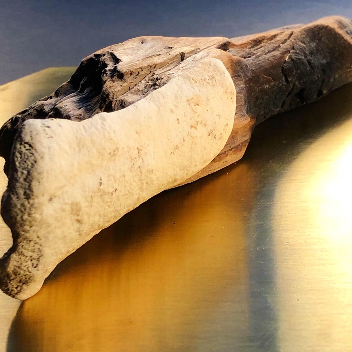 Circadian Rhythms VI - detail 2