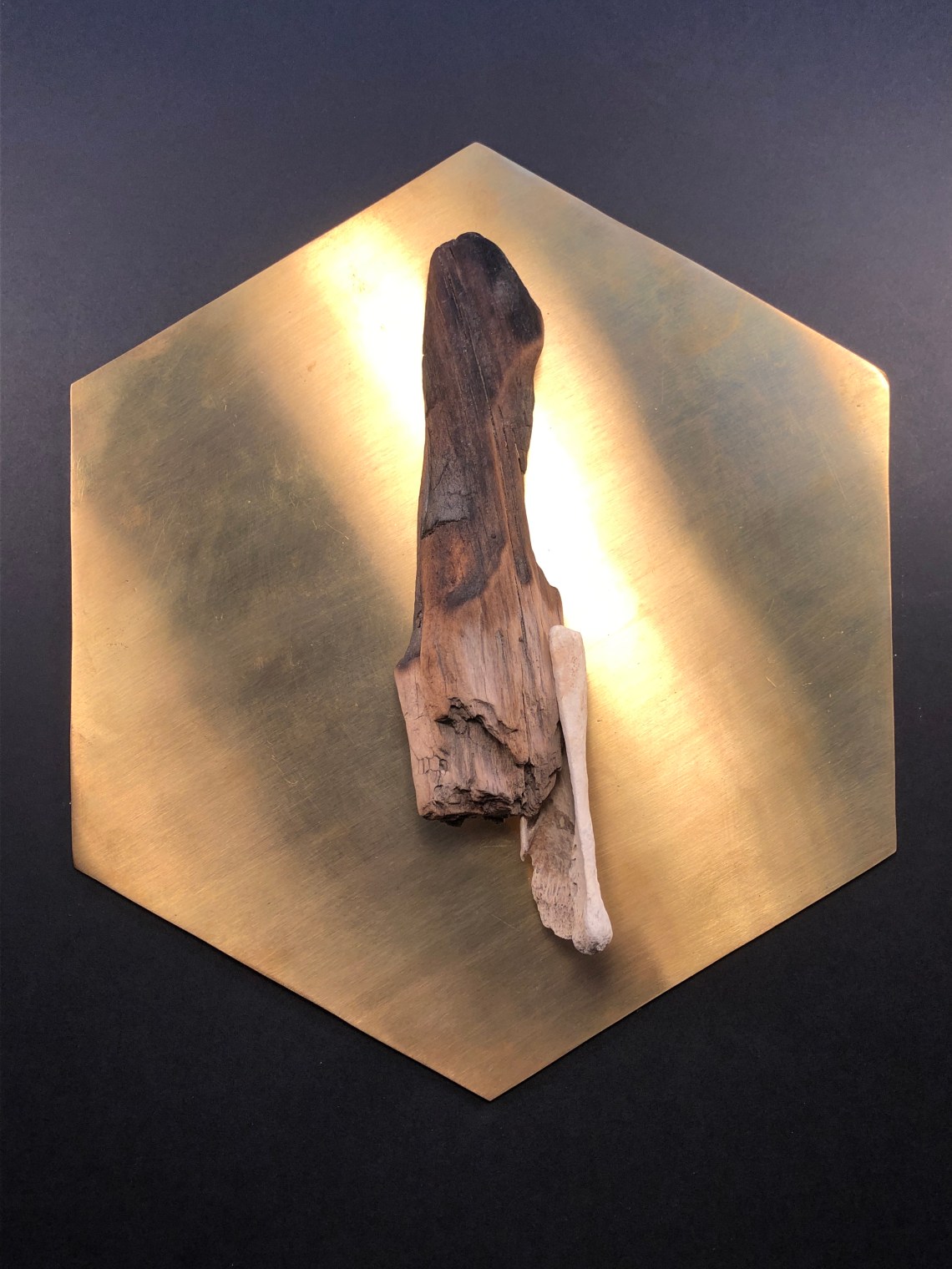 Circadian Rhythms VI