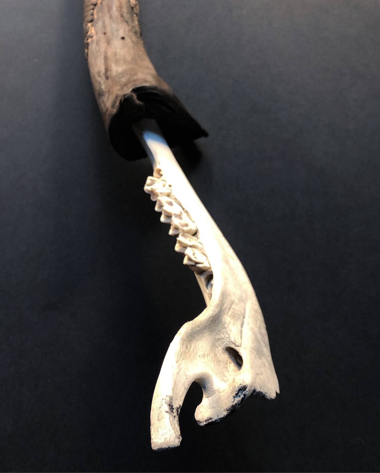 E5DB02B3-5617-4E3C-A40C-8FB2DBE17130