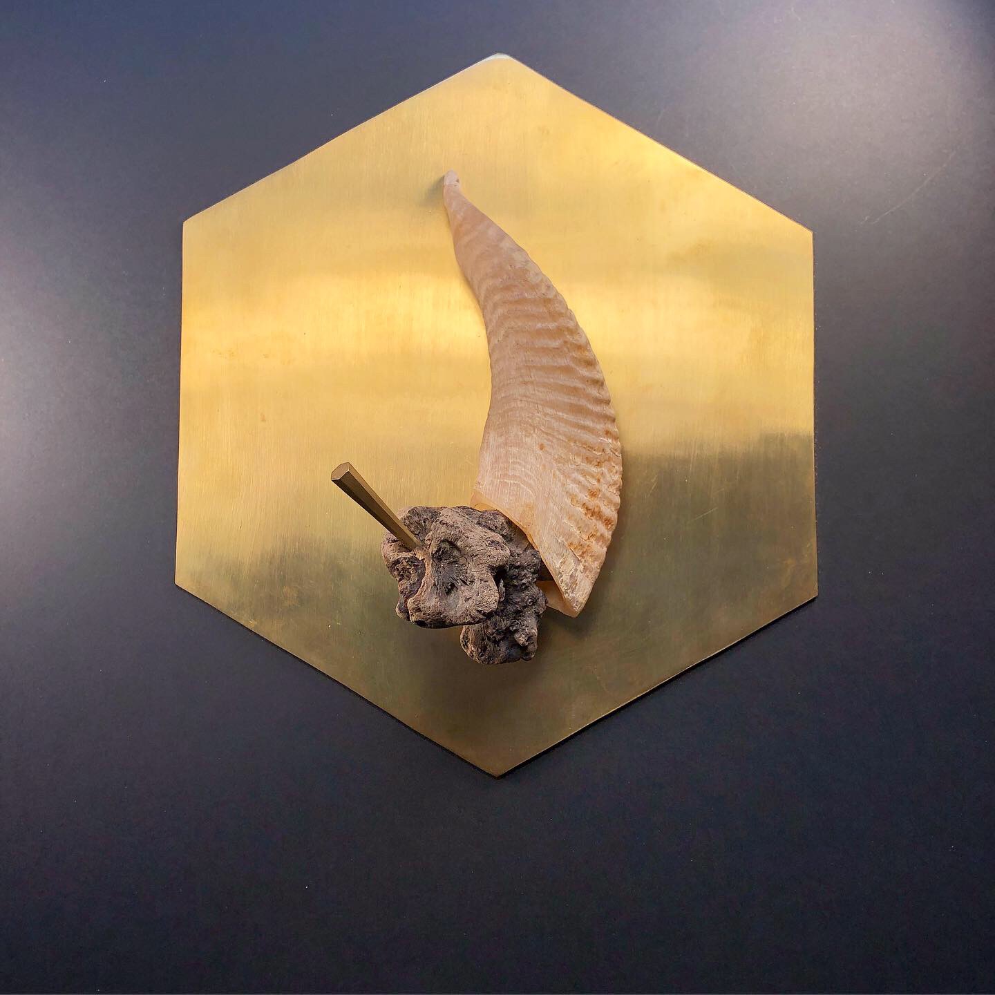 E70C6C0B-1934-46D1-9F3B-41110616B66E