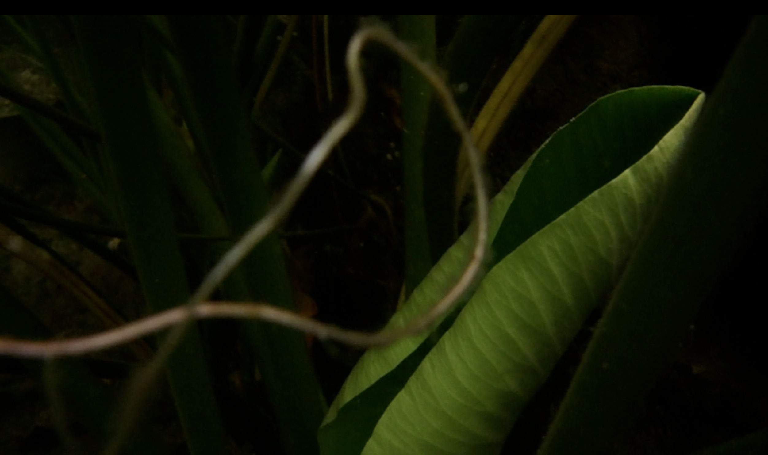 Screen Shot 2019-09-27 at 2.49.08 PM